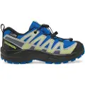 Salomon Xa Pro V8 Wp Vandresko