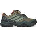 Adidas Terrex Skychaser Goretex Vandresko