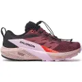 Salomon Sense Ride 5 Goretex Trailsko