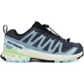 Salomon Xa Pro 3d V9 Trailsko