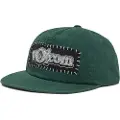 Volcom V Ent Adj Kasket grøn