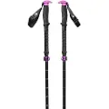 Black Diamond Expedition Compactor Spadserestokke