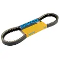 DAYCO Honda Foresight 250cc 23100kfg641 Drivrem