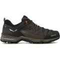 Salewa Mtn Trainer Lite Goretex Tilgangssko