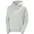 Helly Hansen Core Graphic Hættetrøje