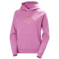 Helly Hansen Core Graphic Hættetrøje