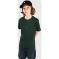 Blue Tomato Mini Logo Centered Kids T-shirt grøn
