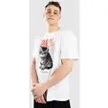 Arbor Kitten T-shirt hvid