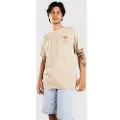 Rip Curl Aots - Cody Welsh Palms T-shirt brun