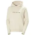 Helly Hansen Core Graphic Hættetrøje