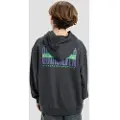 Quiksilver Apog Heritage Kids Hættetrøje mønster