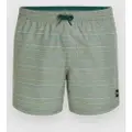 O'Neill Jack Cali First 15'' Boardshorts grøn
