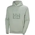 Helly Hansen Core Graphic Hættetrøje