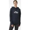 Helly Hansen Nord Graphic Hættetrøje