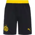 Puma Borussia Dortmund 25/26 Shorts Men, Sport, Black/Faster Yellow, S