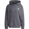 Adidas Mercedes-amg Petronas Formula One Team Premium Hættetrøje