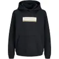 Jack & Jones Inwood Block Hættetrøje