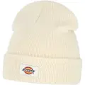 Dickies Gibsland Beanie