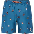 Protest Rocker Badeshorts