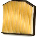 Champion Caf9006 Luftfilter