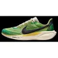 Nike Pegasus 41 SE-løbesko til vej til mænd - multifarvet