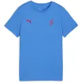 Puma Neymar Jr Playmaker Football Tee Youth, Clothing, Royal/Red, 7-8Y