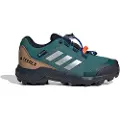 Adidas Terrex Goretex Vandresko