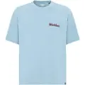 Dickies Slayden Gd T-shirt blå