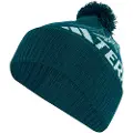 Adidas Terrex Xploric Pom Beanie