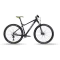Head X-rubi 3.0 29´´ Mtb Cykel