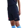 Nike Erling Haaland Academy Dri-FIT-fodboldshorts til større børn - blå