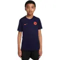 Nike Kortærmet Erling Haaland Academy Dri-FIT-fodboldtrøje til større børn - blå