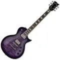 ESP Guitars ESP LTD EC-256FM Electric Guitar See Thru Purple Sunburst