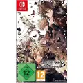 Nintendo Switch Amnesia Later X Crowd