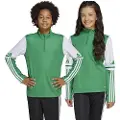 Adidas Squadra 25 Training Halv Lynlås Sweatshirt