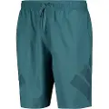 Adidas Big Bars 8´´ Badeshorts