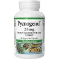 Natural Factors – Pycnogenol Pine Bark Extract 25 mg (60 kapsler)