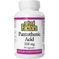 Natural Factors – Pantothensyre 250 mg (90 kapsler)