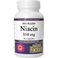 Natural Factors – Niacin 500 mg (90 kapsler)