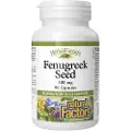 Natural Factors – HerbalFactors Fennikelfrø 500 mg (90 kapsler)