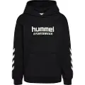 Hummel Logo Hættetrøje