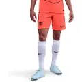 Nike FC Barcelona 2025/26 Stadium Third Nike Dri-FIT Total 90 Replica-fodboldshorts til mænd - Orange