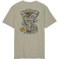 Santa Cruz Braun Fever Dream T-shirt Med Korte ærmer