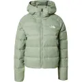 The North Face Hyalite Dunjakke