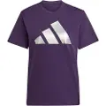 Adidas Holiday Metallic Graphic T-shirt Med Korte ærmer