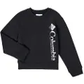 Columbia Sweatshirts Columbia COLUMBIA PARK FRENCH TERRY CREW barn 12 Jahre