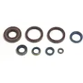Athena P400220400252 Motoroliepakning