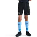 Nike Chelsea FC 2025/26 Stadium Third Nike Dri-FIT Total 90-replica-fodboldshorts til større børn - sort