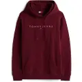 Tommy Hilfiger Linear Logo Regular Fit Hættetrøje