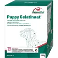 Primeval Puppy Gelatine til hunde